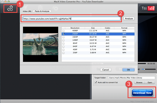 Youtube Video Downloader For Mac 10.6.8